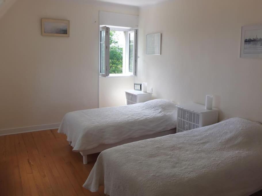 Maison Lumineuse 2Mn Plage Et Village De Morgat 卡松 外观 照片
